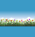 blooming meadow with green grass and flowers vector image