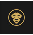 head lion design vector image
