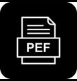 pef file document icon vector image vector image