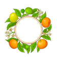 tangerine ranches frame on white background vector image