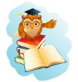 owl vector image