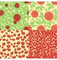 set of seamless patterns with red flowers vector image