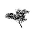 green tree isolated on white background vector image vector image