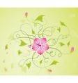 background flower vector image vector image