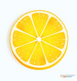 fresh lemon slice icon on a white vector image