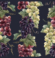 watercolor grape pattern vector image vector image