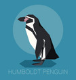 flat humboldt penguin vector image vector image