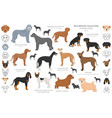 hunting dogs collection isolated on white clipart vector image