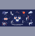 isometric genetic engineering infographics vector image vector image
