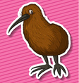 kiwi bird vector image vector image