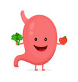 strong healthy happy stomach character vector image vector image