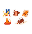 cartoon cats cute scenes with kitten pet owner vector image vector image