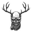 monochrome vintage skull vector image