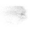 black grainy texture isolated on white vector image