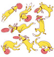 dog frisbi sport set doodle cute pets catching vector image