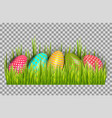 easter eggs background with fresh green grass vector image