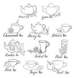 Hand drawn sketch tea set Royalty Free Vector Image