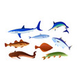 cartoon fish for food set sea fishing flat vector image