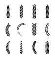wheat ears icons oat and grains vector image