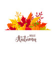 autumn leaves composition vector image vector image