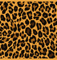 seamless pattern leopard skin texture vector image vector image