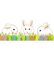 easter eggs and rabbits vector image