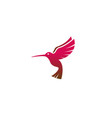 creative red hummingbird logo vector image vector image