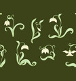galanthus snowdrop nivalis seamless pattern vector image