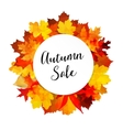 autumn fall sale banner with colorful leaves vector image