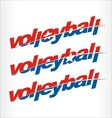 volleyball logo word text vector image vector image