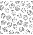 botanical of monstera leaf vector image vector image