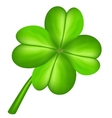 four leaf clover vector image