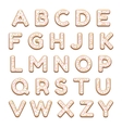cookies alphabet vector image vector image