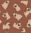 seamless pattern with cute pugs on a red vector image