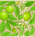 lime branches pattern on color background vector image