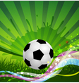 soccer ball background vector image
