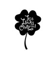 lucky four leaf clover charm vector image