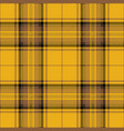 yellow and brown tartan plaid scottish pattern vector image vector image