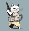armed cat portrait brave kitten soldier vector image