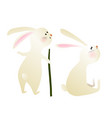 cute bunny or rabbit animals for kids clipart vector image