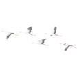flying stork flock vector image
