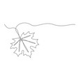 maple leaf one line drawing isolated on white vector image vector image