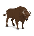 bison wild mammal hunting sport vector image vector image