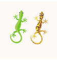 gecko or lizard vector image vector image