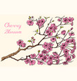 japanese sakura blooming cherry magnolia vector image