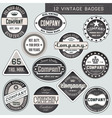 vintage badges vector image