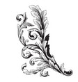 ornament baroque vector image