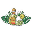 alcoholic drink tequila element colorful vector image vector image