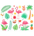 pink flamingo and tropical plants beach palm vector image