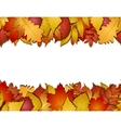 seamless with autumn leaves vector image